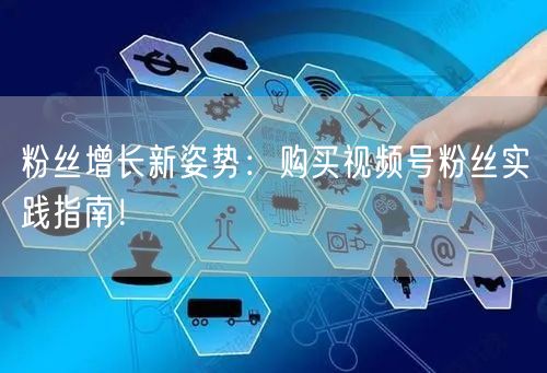 粉丝增长新姿势：购买视频号粉丝实践指南！