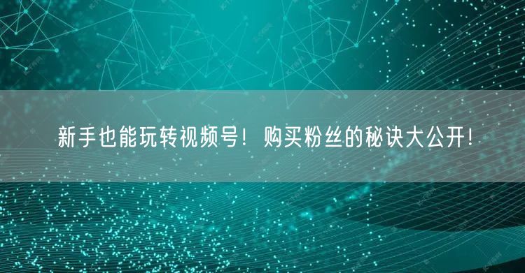 新手也能玩转视频号！购买粉丝的秘诀大公开！