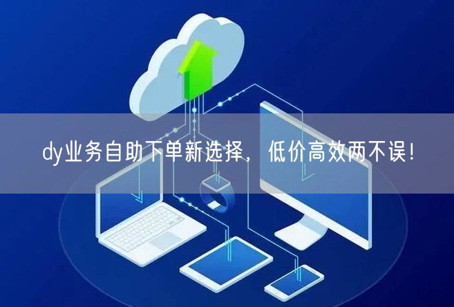 dy业务自助下单新选择，低价高效两不误！