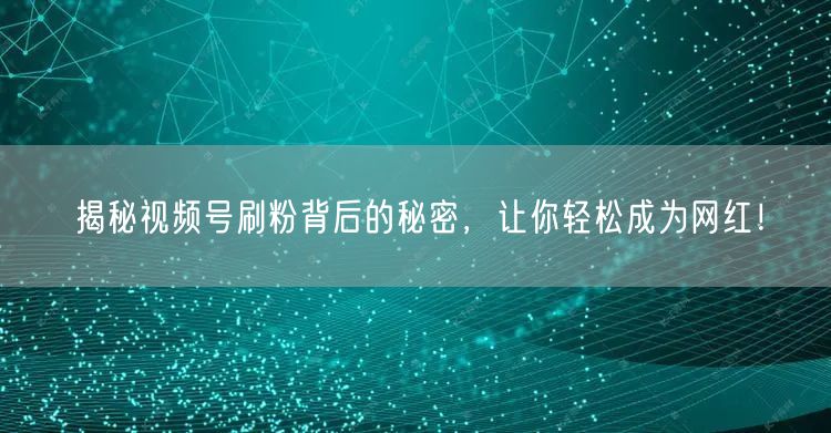 揭秘视频号刷粉背后的秘密，让你轻松成为网红！
