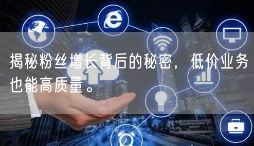 揭秘粉丝增长背后的秘密，低价业务也能高质量。