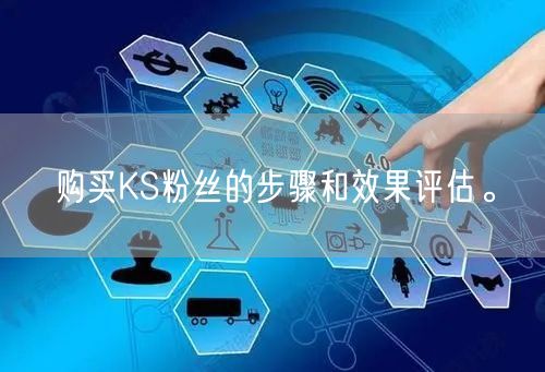购买KS粉丝的步骤和效果评估。
