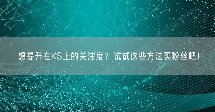 想提升在KS上的关注度？试试这些方法买粉丝吧！