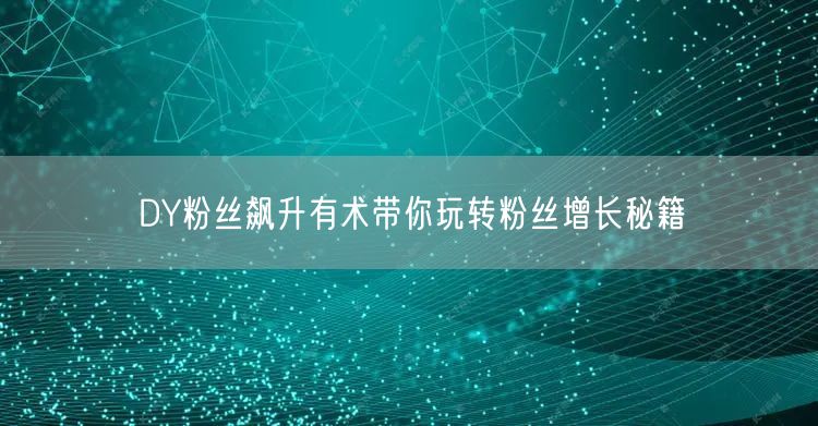 DY粉丝飙升有术带你玩转粉丝增长秘籍