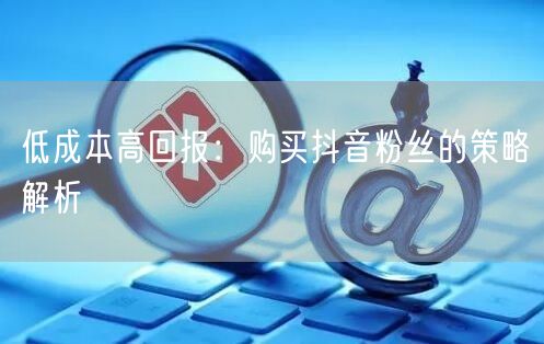 低成本高回报：购买抖音粉丝的策略解析