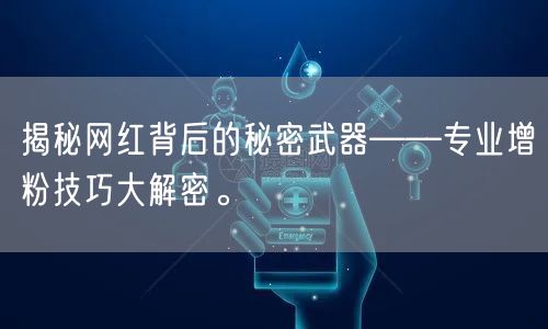 揭秘网红背后的秘密武器——专业增粉技巧大解密。