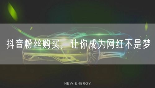 抖音粉丝购买，让你成为网红不是梦