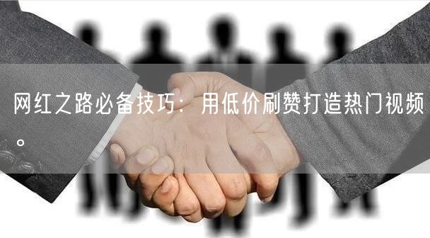 网红之路必备技巧：用低价刷赞打造热门视频。
