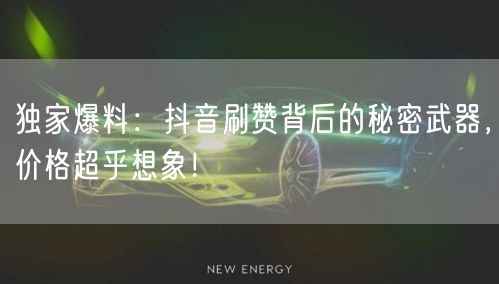 独家爆料：抖音刷赞背后的秘密武器，价格超乎想象！