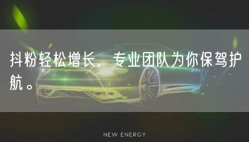 抖粉轻松增长，专业团队为你保驾护航。