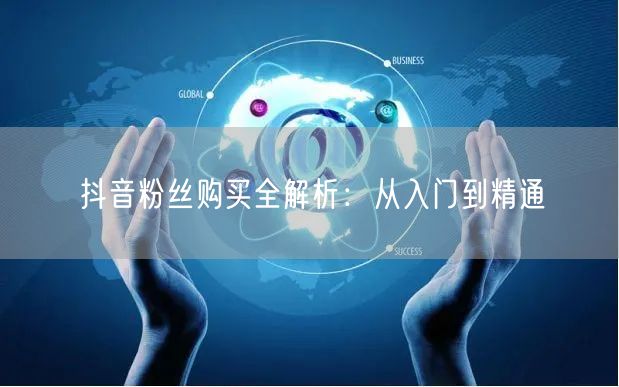 抖音粉丝购买全解析：从入门到精通