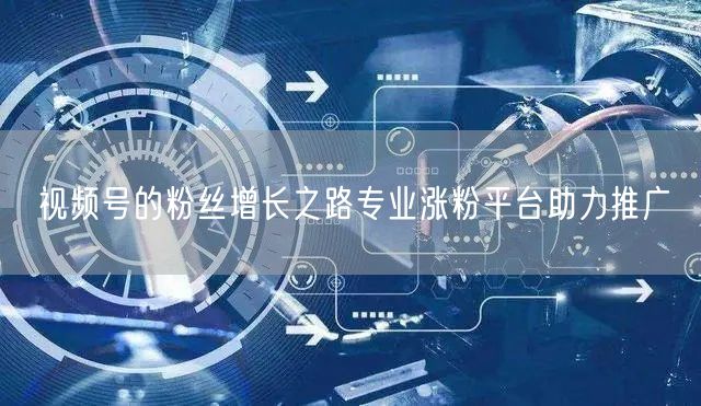 视频号的粉丝增长之路专业涨粉平台助力推广