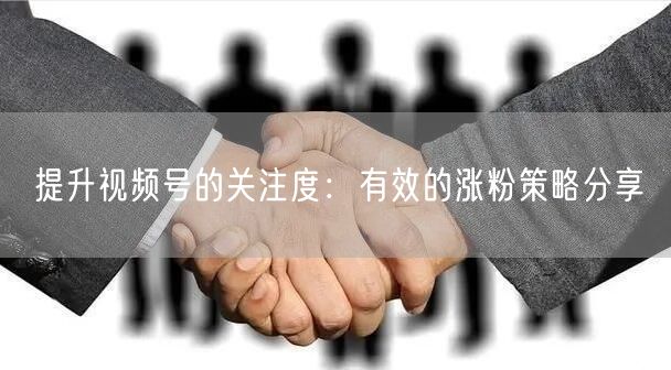 提升视频号的关注度：有效的涨粉策略分享