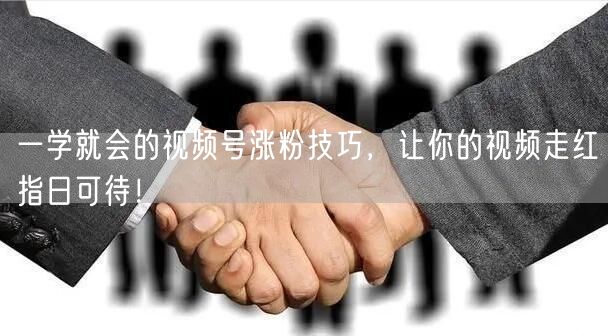 一学就会的视频号涨粉技巧，让你的视频走红指日可待！