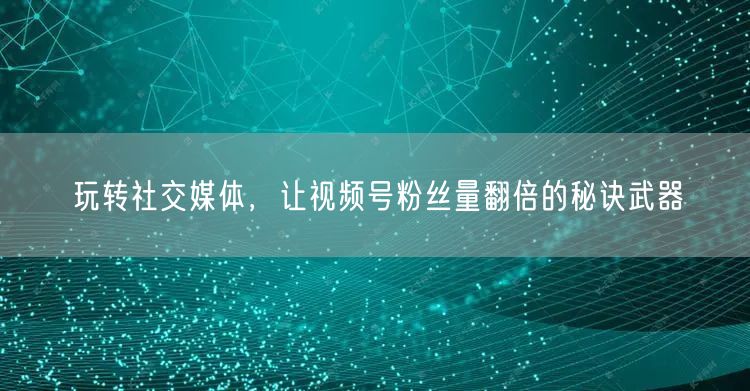 玩转社交媒体，让视频号粉丝量翻倍的秘诀武器