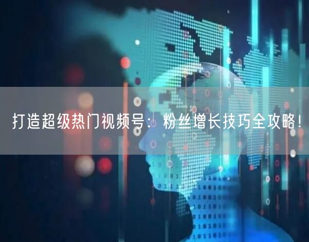 打造超级热门视频号：粉丝增长技巧全攻略！