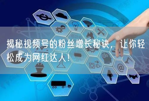 揭秘视频号的粉丝增长秘诀，让你轻松成为网红达人！
