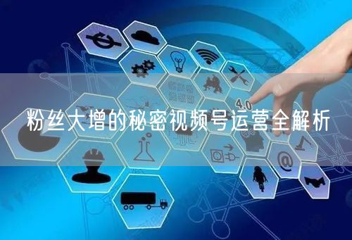 粉丝大增的秘密视频号运营全解析