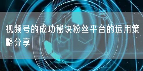 视频号的成功秘诀粉丝平台的运用策略分享