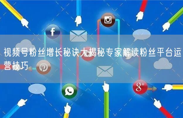 视频号粉丝增长秘诀大揭秘专家解读粉丝平台运营技巧