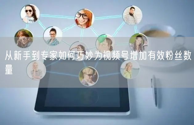 从新手到专家如何巧妙为视频号增加有效粉丝数量