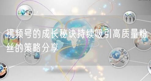 视频号的成长秘诀持续吸引高质量粉丝的策略分享