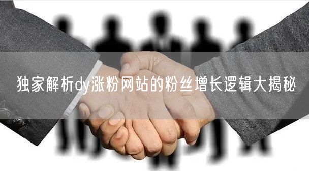 独家解析dy涨粉网站的粉丝增长逻辑大揭秘