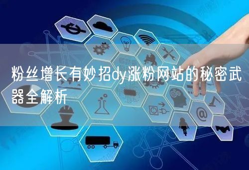 粉丝增长有妙招dy涨粉网站的秘密武器全解析