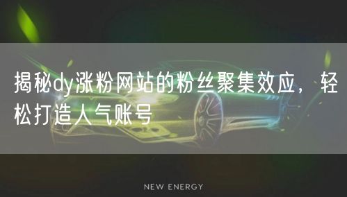 揭秘dy涨粉网站的粉丝聚集效应，轻松打造人气账号