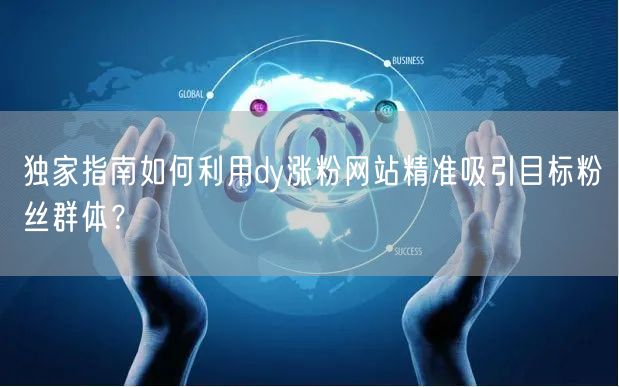 独家指南如何利用dy涨粉网站精准吸引目标粉丝群体？