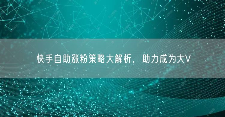 快手自助涨粉策略大解析，助力成为大V