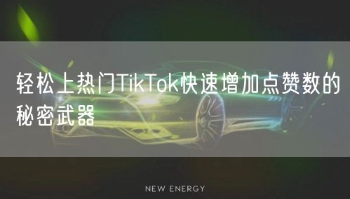 轻松上热门TikTok快速增加点赞数的秘密武器