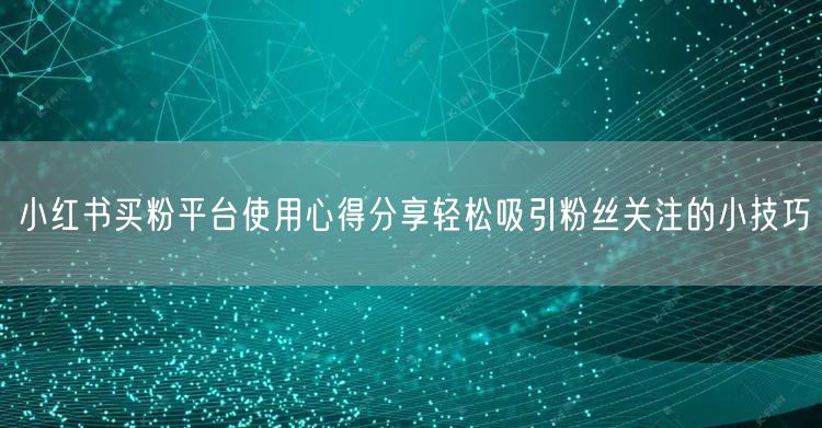 小红书买粉平台使用心得分享轻松吸引粉丝关注的小技巧