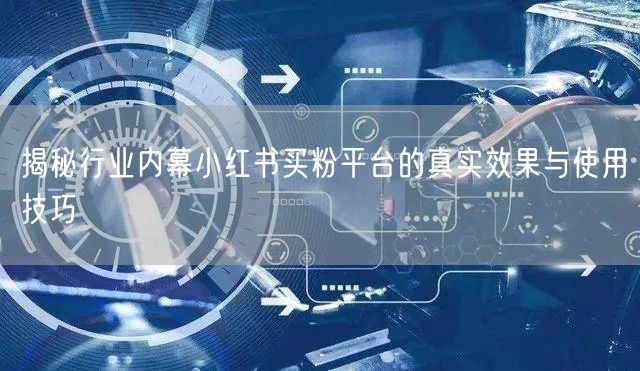 揭秘行业内幕小红书买粉平台的真实效果与使用技巧