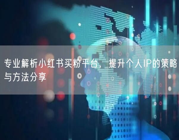 专业解析小红书买粉平台，提升个人IP的策略与方法分享
