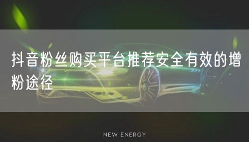 抖音粉丝购买平台推荐安全有效的增粉途径