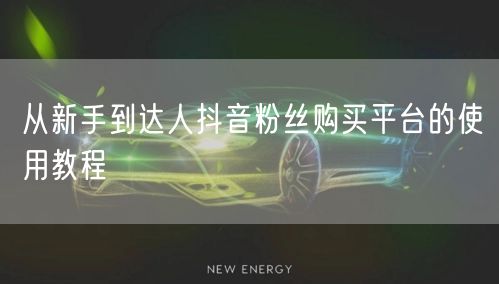 从新手到达人抖音粉丝购买平台的使用教程