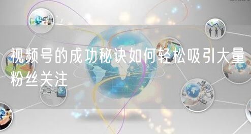 视频号的成功秘诀如何轻松吸引大量粉丝关注