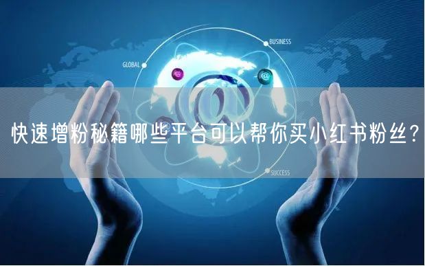 快速增粉秘籍哪些平台可以帮你买小红书粉丝？
