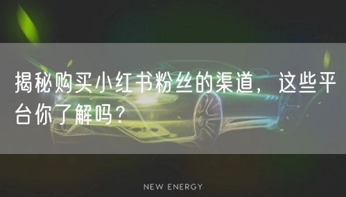 揭秘购买小红书粉丝的渠道，这些平台你了解吗？