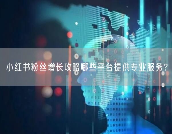 小红书粉丝增长攻略哪些平台提供专业服务？