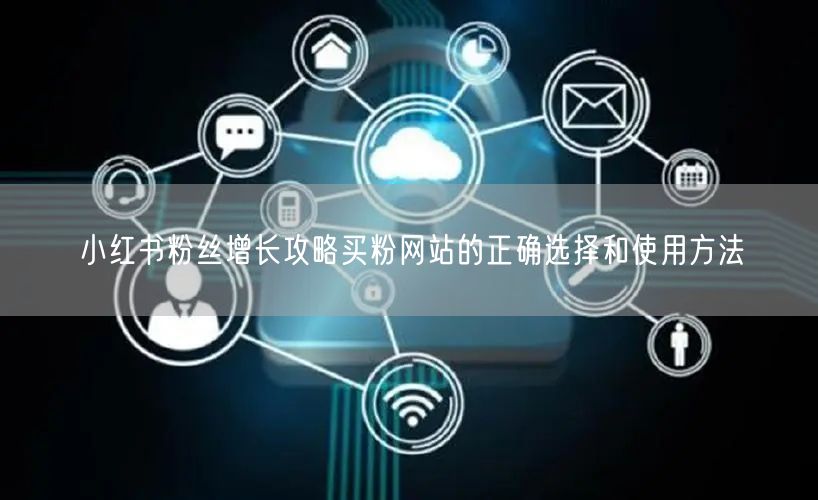 小红书粉丝增长攻略买粉网站的正确选择和使用方法