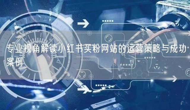 专业视角解读小红书买粉网站的运营策略与成功案例
