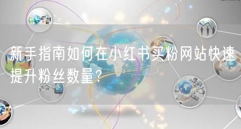 新手指南如何在小红书买粉网站快速提升粉丝数量？