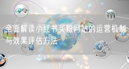 全面解读小红书买粉网站的运营机制与效果评估方法