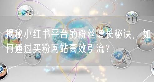 揭秘小红书平台的粉丝增长秘诀，如何通过买粉网站高效引流？