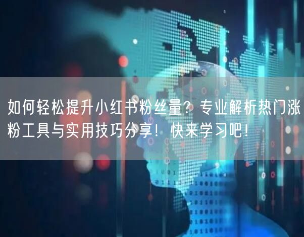 如何轻松提升小红书粉丝量？专业解析热门涨粉工具与实用技巧分享！快来学习吧！