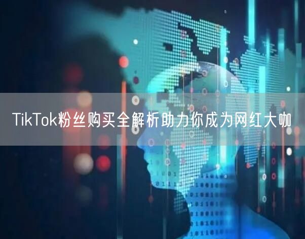TikTok粉丝购买全解析助力你成为网红大咖