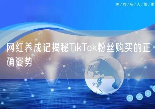 网红养成记揭秘TikTok粉丝购买的正确姿势