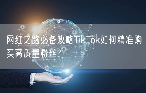 网红之路必备攻略TikTok如何精准购买高质量粉丝?